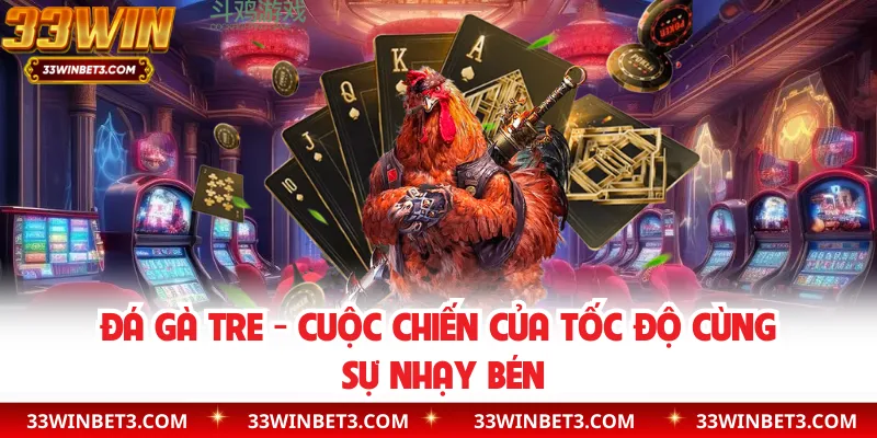 Đá Gà Tre - Cuộc Chiến Của Tốc Độ Cùng Sự Nhạy Bén